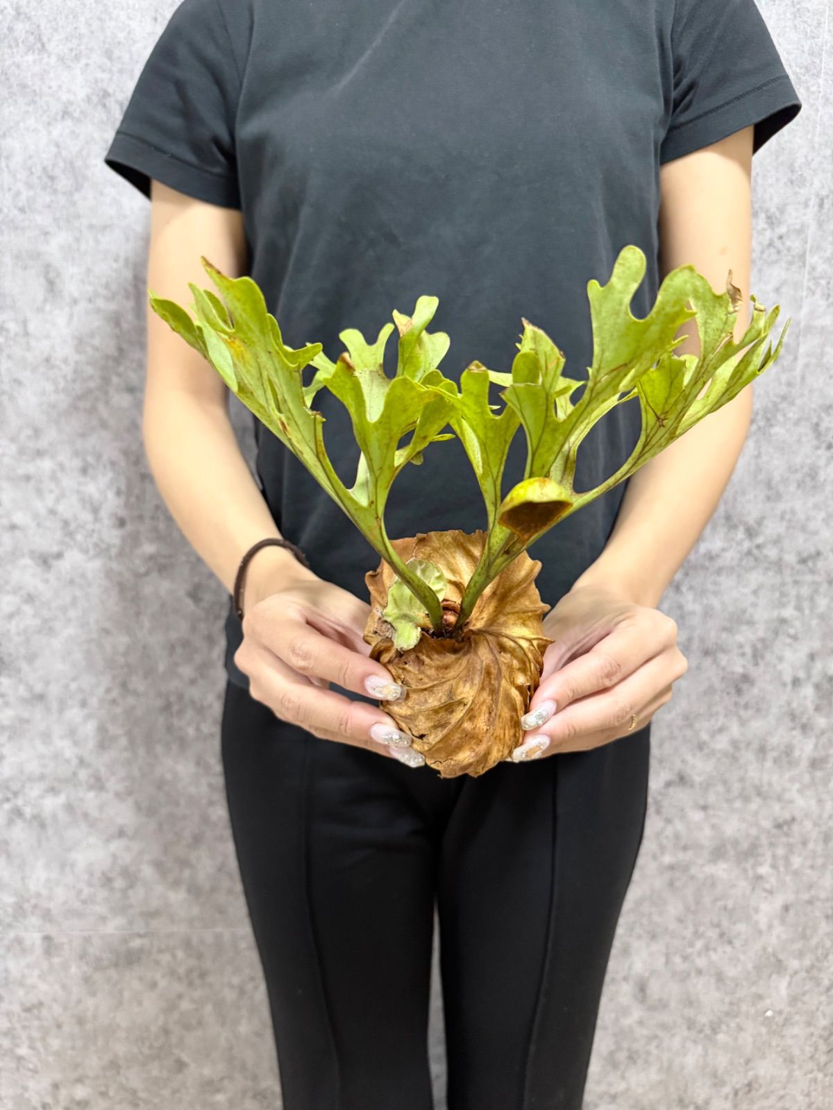 ドミノピザ ライトアップ 看板 カートッパー USA 看板 ネオン ガレージ