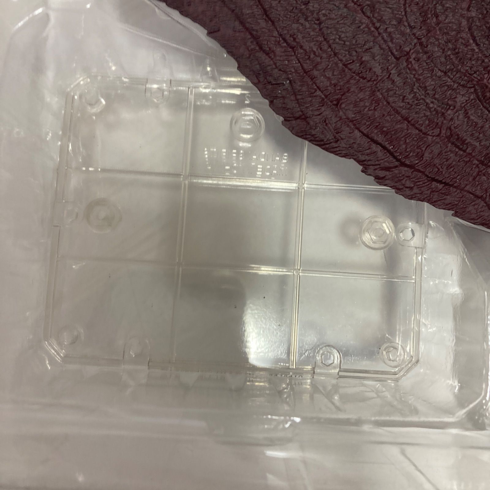 モスラ-ラドン 2019