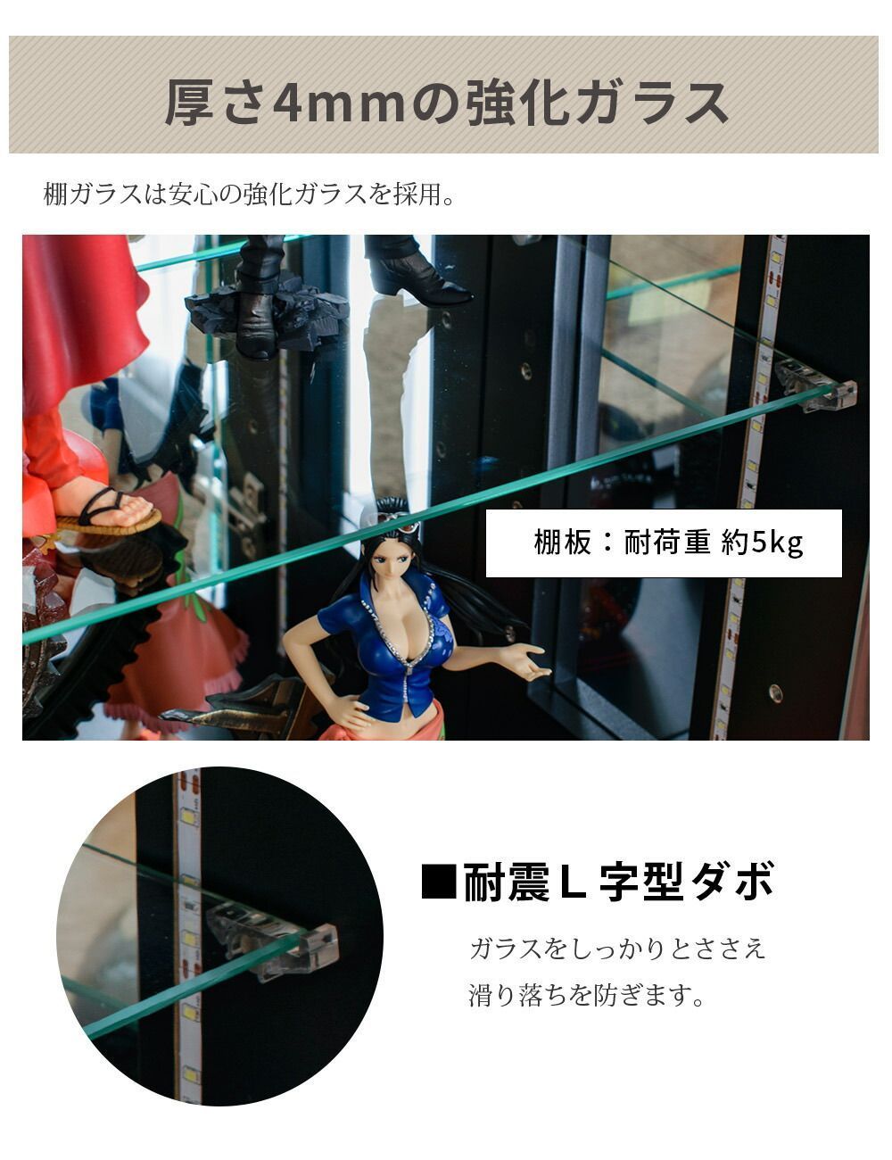 ハイタイプ ショーケース