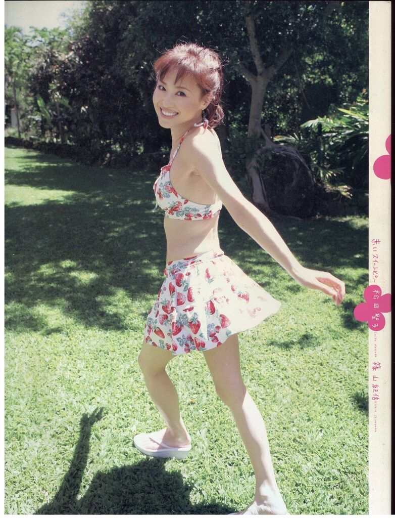 松田聖子さん着用レースブラウス　赤いスイートピー 松田聖子さん着用レースブラウス 赤いスイートピー 赤い