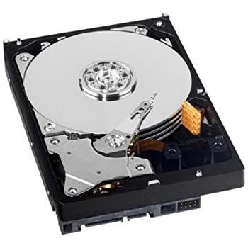 SALE，限定SALE 【中古】 Western Digital WD HD3.5 SATA2-Raid 1TB WD1003FBYX/ WD RE4 (Di) 内蔵型ハードディスクドライブ