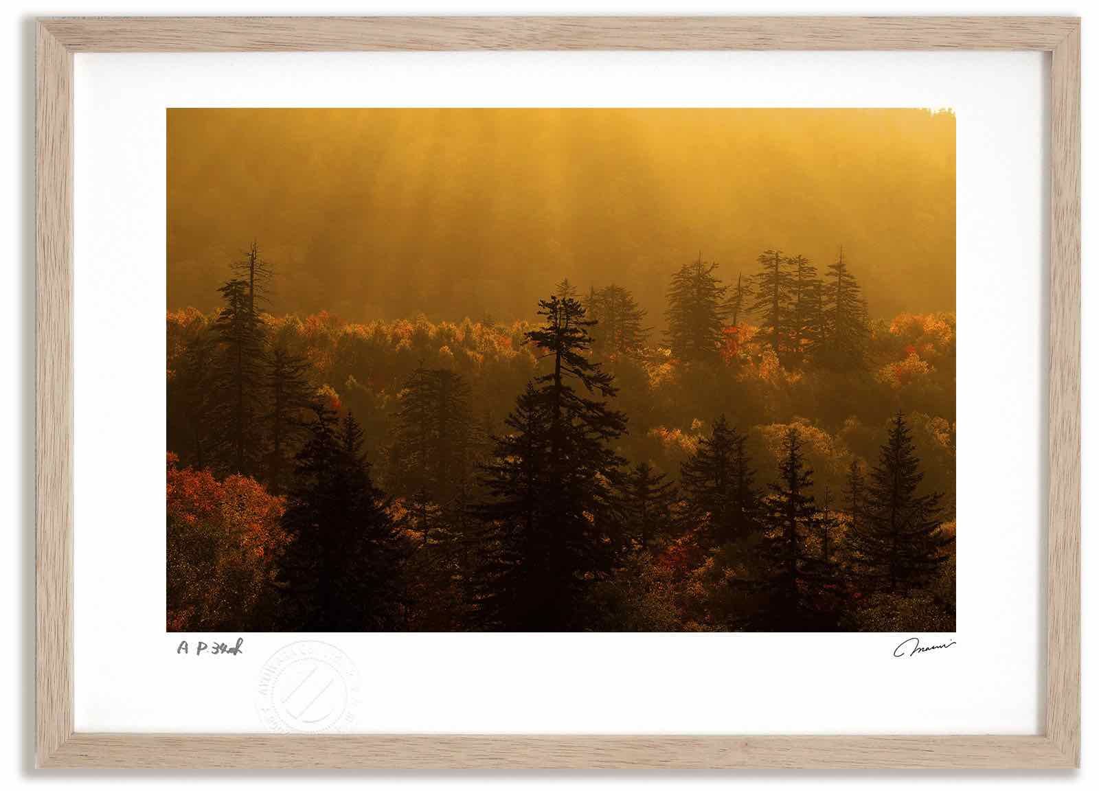 ballistik boys 居酒屋えぐざいる 現地 チェキ 地球で一つ