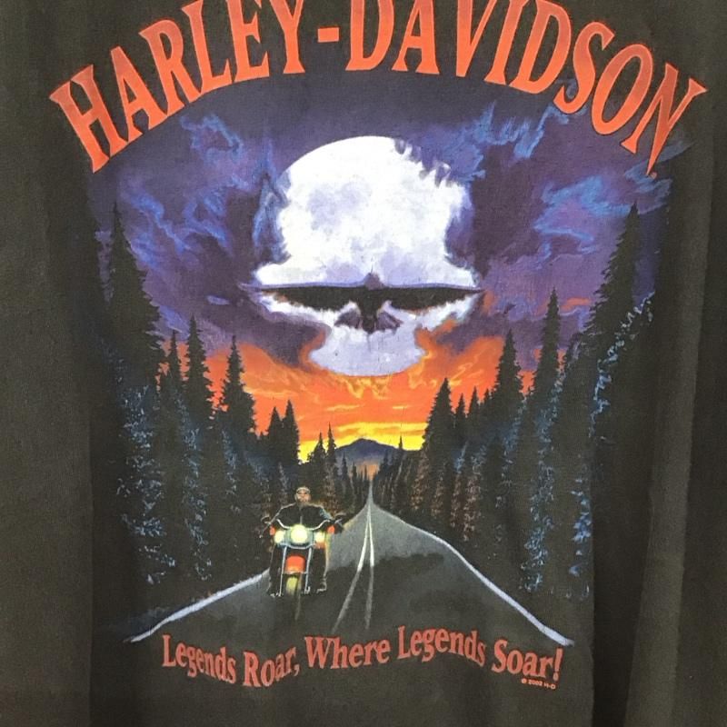 プリントTシャツ