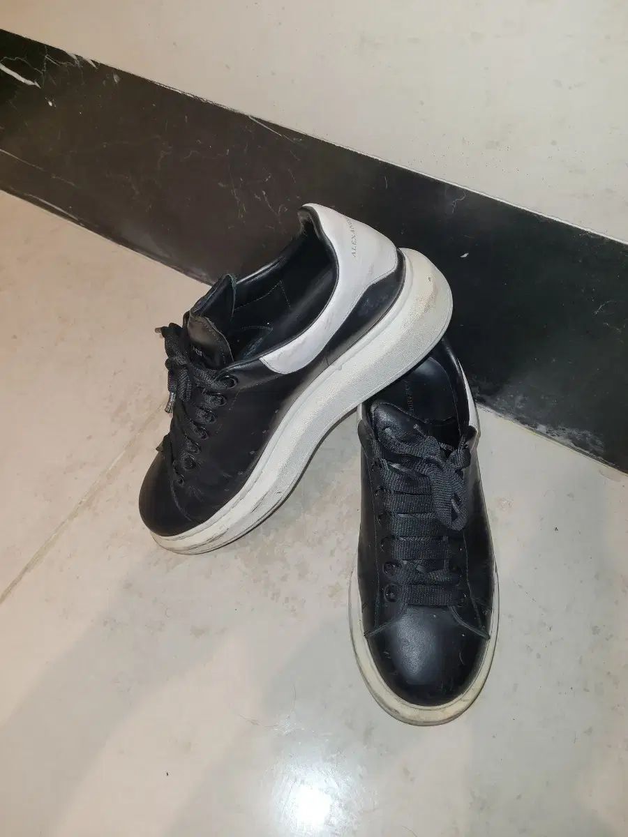 新品SONICSPRINT ELITE2 25センチStePシューズケース付き‼️ Amazon