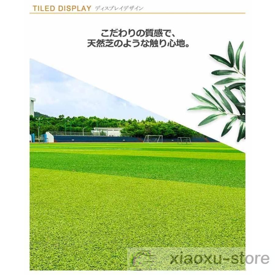 芝ロール 雑草