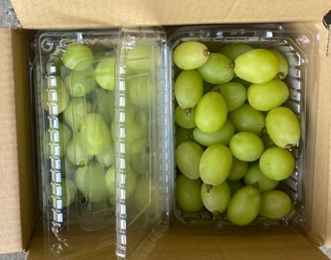 粒売りシャインマスカット2.0kg 糖度18度以上 送料無料 - メルカリ