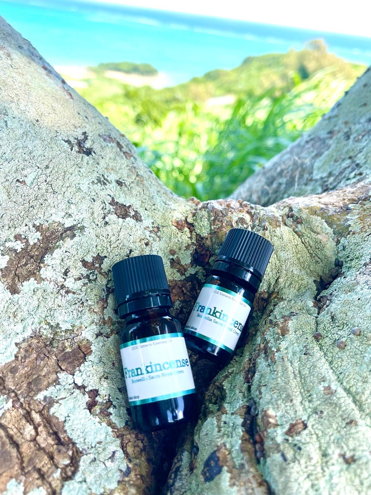 フランキンセンスROYAL Greenエッセンシャルオイル co2抽出法10ml フランキンセンスROYAL Greenエッセンシャルオイル co2抽出法10ml