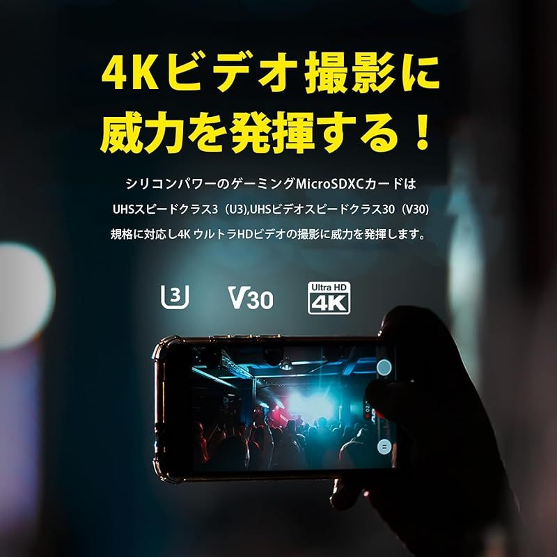  シリコンパワー1 TB Superior Gaming Micro SDXC UHS I U 3 V 30 4 K A 2 高速MicroSDカード アダプター付き スチームデッキ ROG Ally Nintendo Switch用 SP 001 T 1 周辺機器 Wii