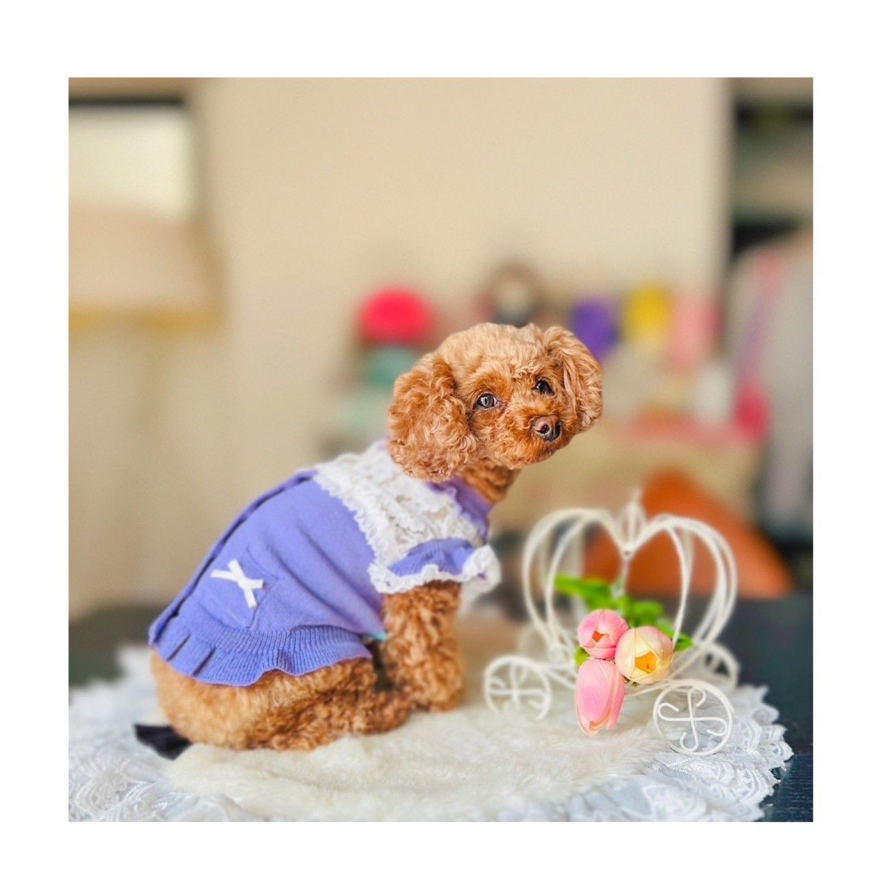 KALINA カリーナ デニム×チェックワンピース KALINA カリーナ ニット