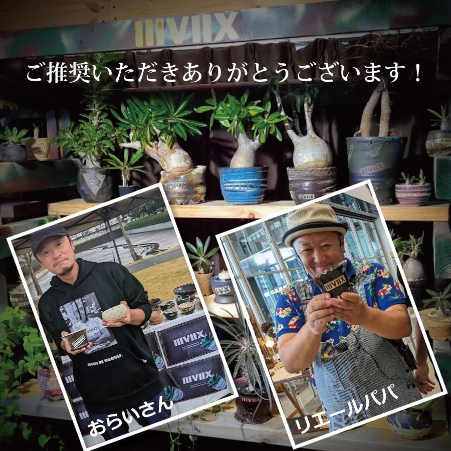 《プロトタイプ》 Mサイズ  ブラック＆ブルー 【PT-M_0509】 IIIVIIX イーヴィックス 陶器鉢 植木鉢 観葉植物 多肉植物 アガベ 塊根植物 グラキリス 亀甲竜 エケベリア ハオルチア