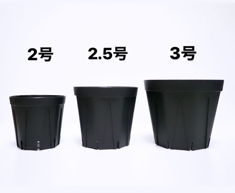 メルカリshops Csm 90 スリット鉢 3号 7個 プラ鉢 黒