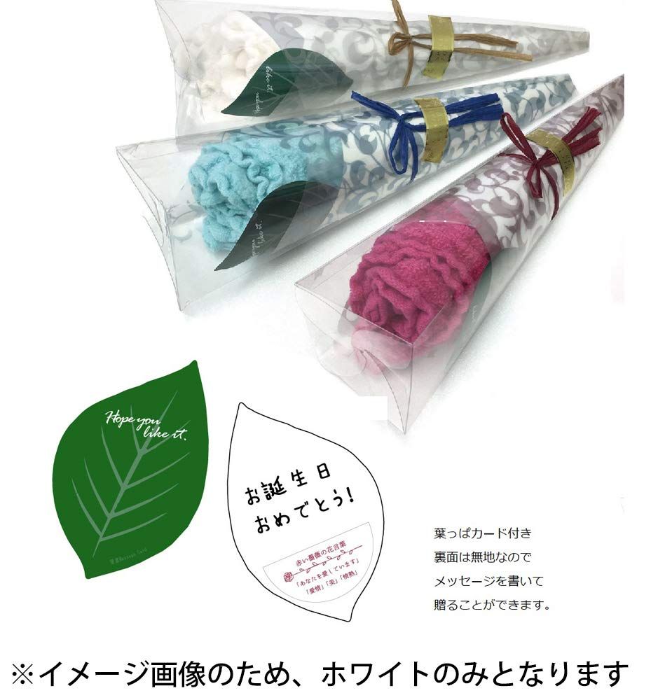 サイズ