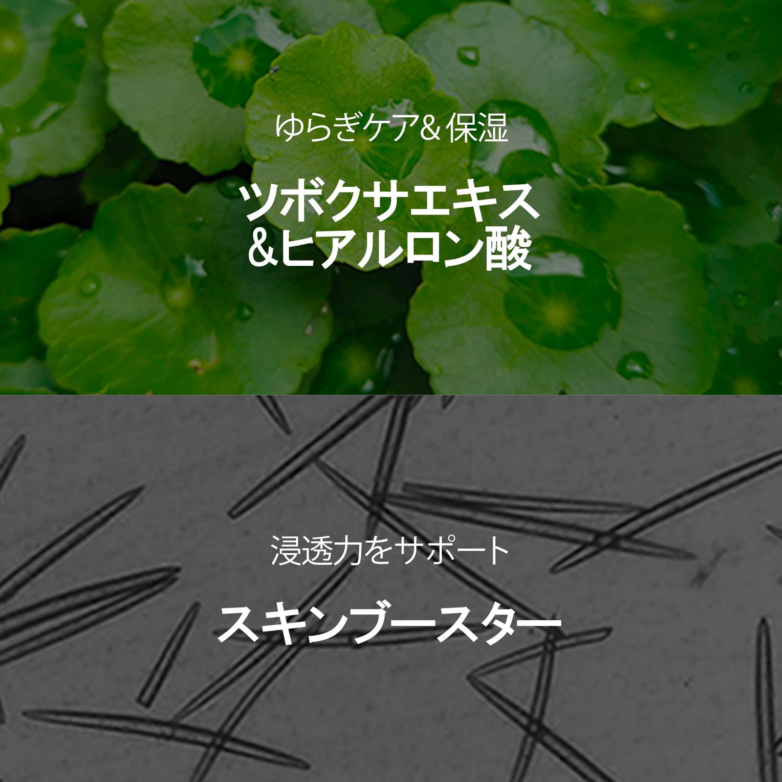 乾燥肌