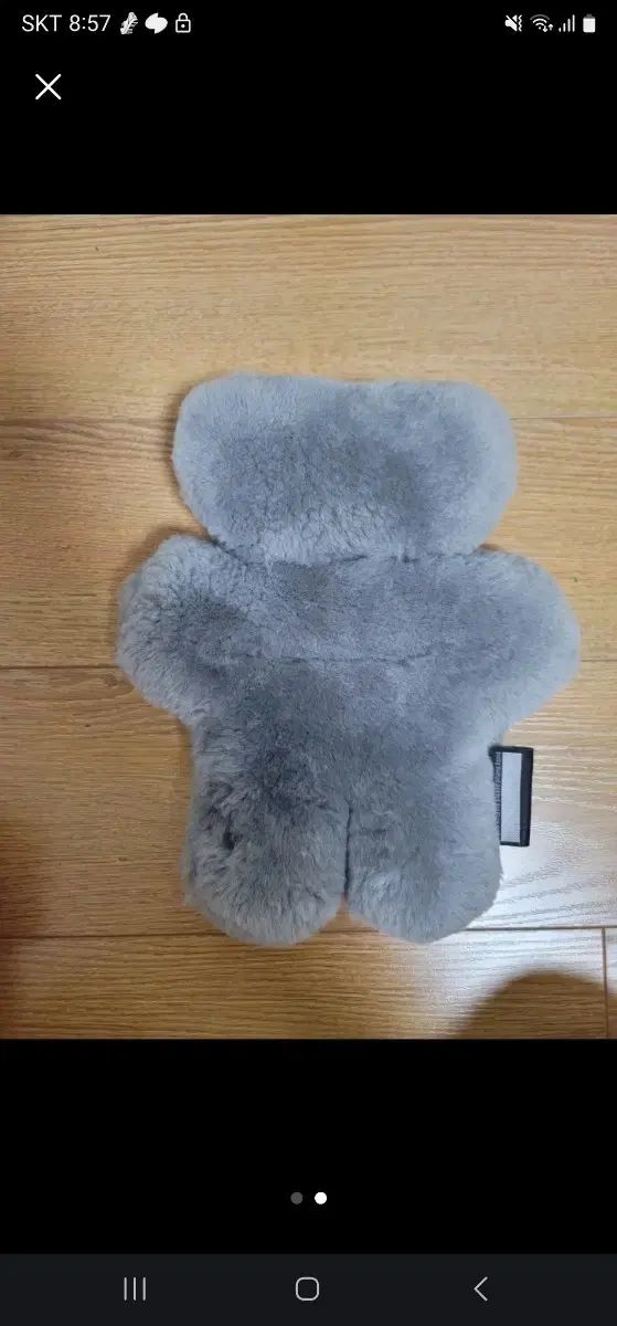 フラットアウトベア