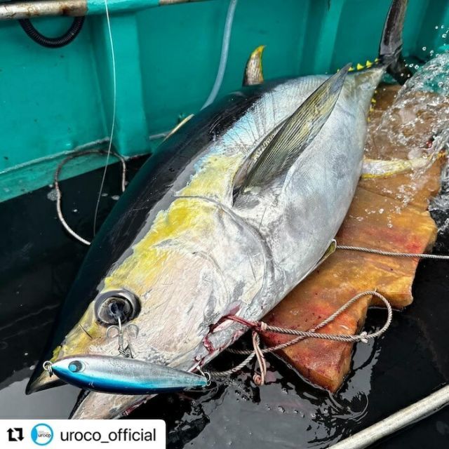 UROCO ウロコペンシル 190F 新品未開封‼️ウロコペンシル190F