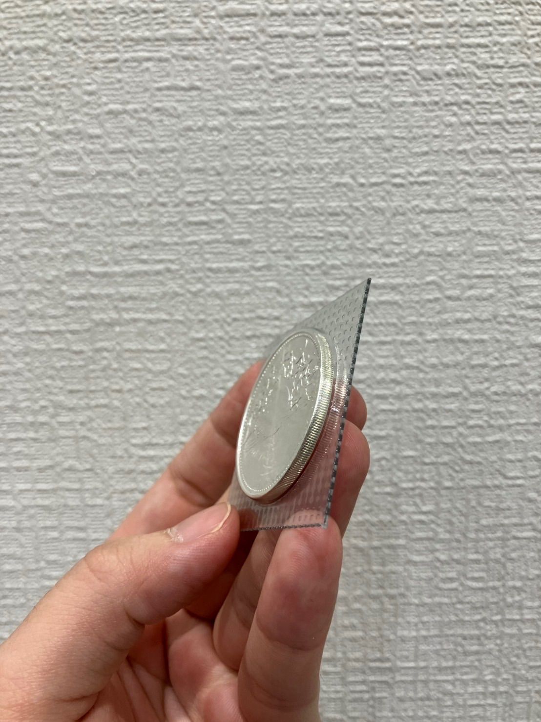 天皇御在位 壱万円銀貨 ブリスターパック LNAILSPERTH_COM