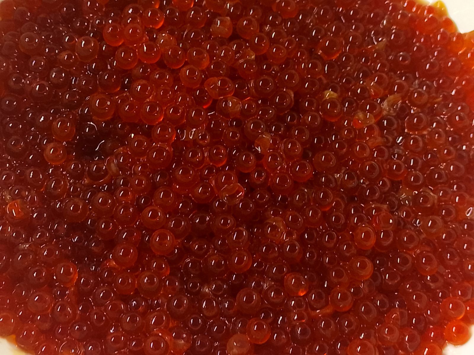 新物 北海道産秋鮭生筋子醤油いくら漬