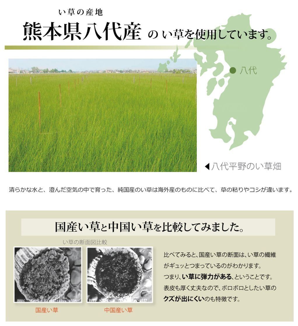 カーペット 上敷き