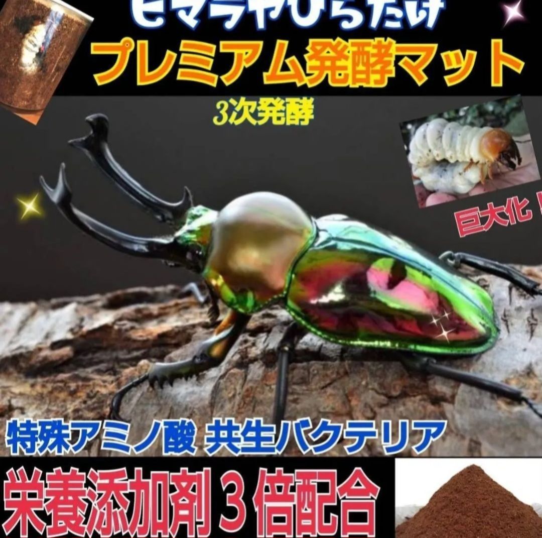 800mlボトル入り