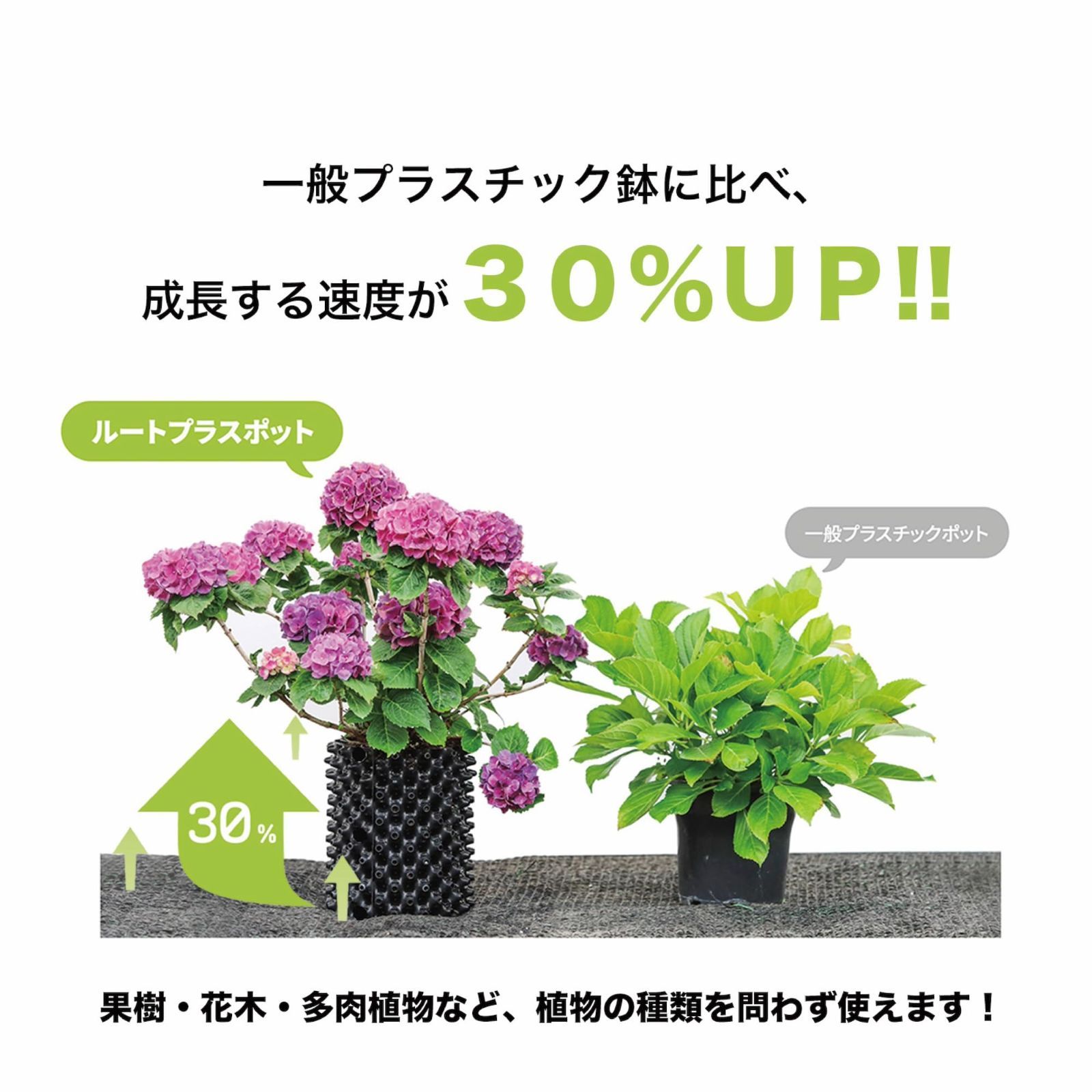 【人気商品】南榮工業(Nan-a Corporation) ルートプラスポットミニ 1.5L グリーン （植木鉢 園芸 観葉植物 屋内 サボテン 多肉植物 インテリア）