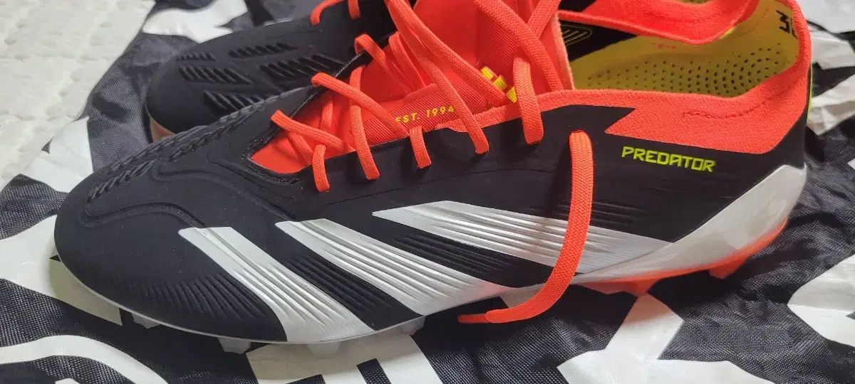 ブラック オレンジ