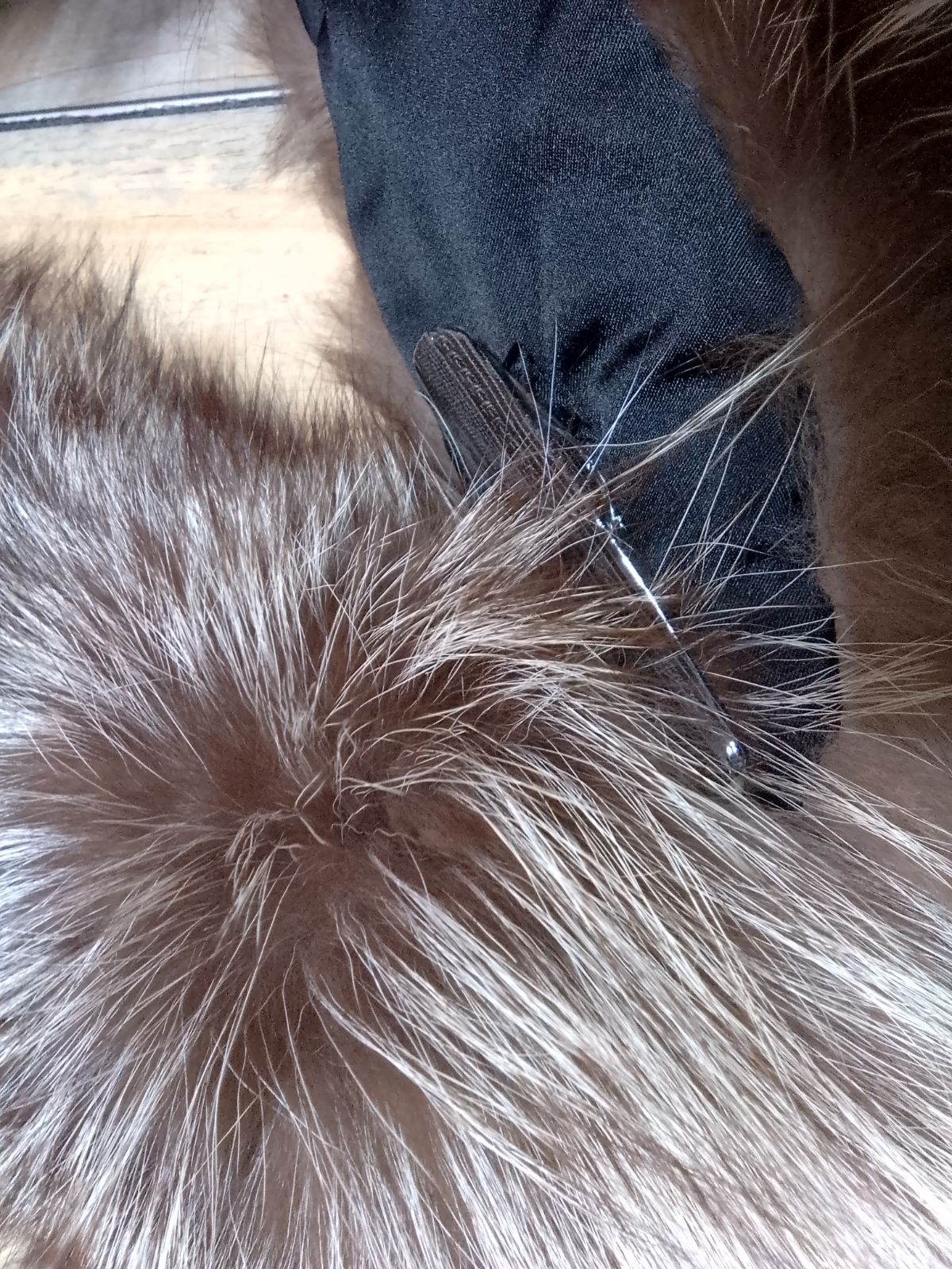 おしゃれ kimono いろは 最高級 ＳＡＧＡシルバーフォックスショール ファー おしゃれ kimono いろは 最高級 ＳＡＧＡシルバーフォックスショール