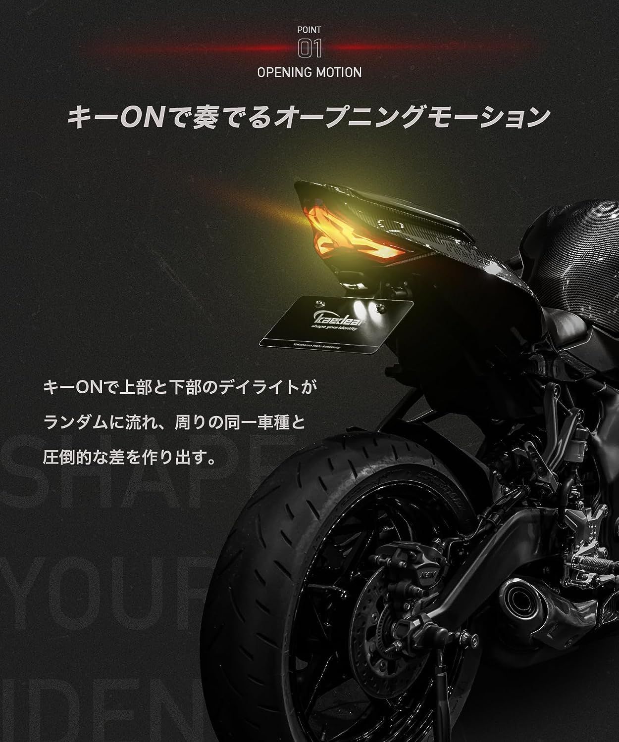 アウトレット】ZX10R ZX6R ZX25R ニンジャ テールランプ - ライト 