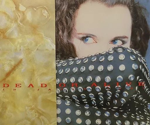 パンフレット ≪パンフレット(ライブ)≫ パンフ)DEAD OR ALIVE IN