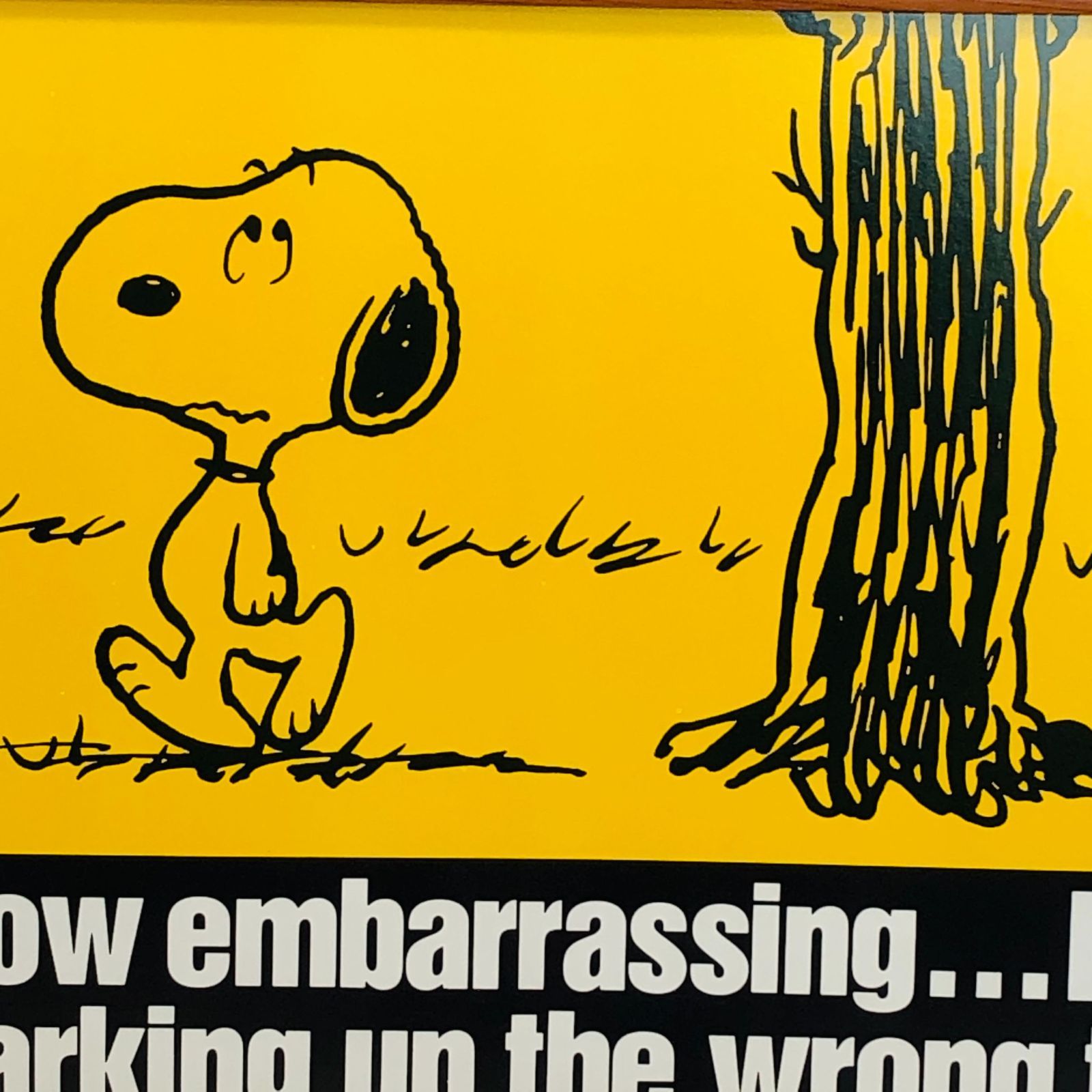 70'sヴィンテージ　ポスター　スヌーピー　snoopy  ピーナッツ 70'sヴィンテージ ポスター スヌーピー snoopy ピーナッツ 1979年