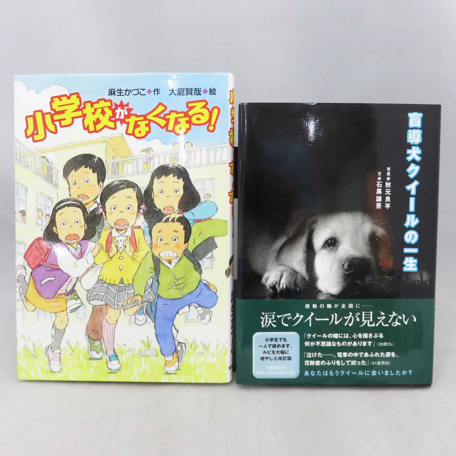 ☆最終値下げ☆ 【児童書　まとめ売り】小学校がなくなる! (文研ブックランド)　盲導犬クイールの一生