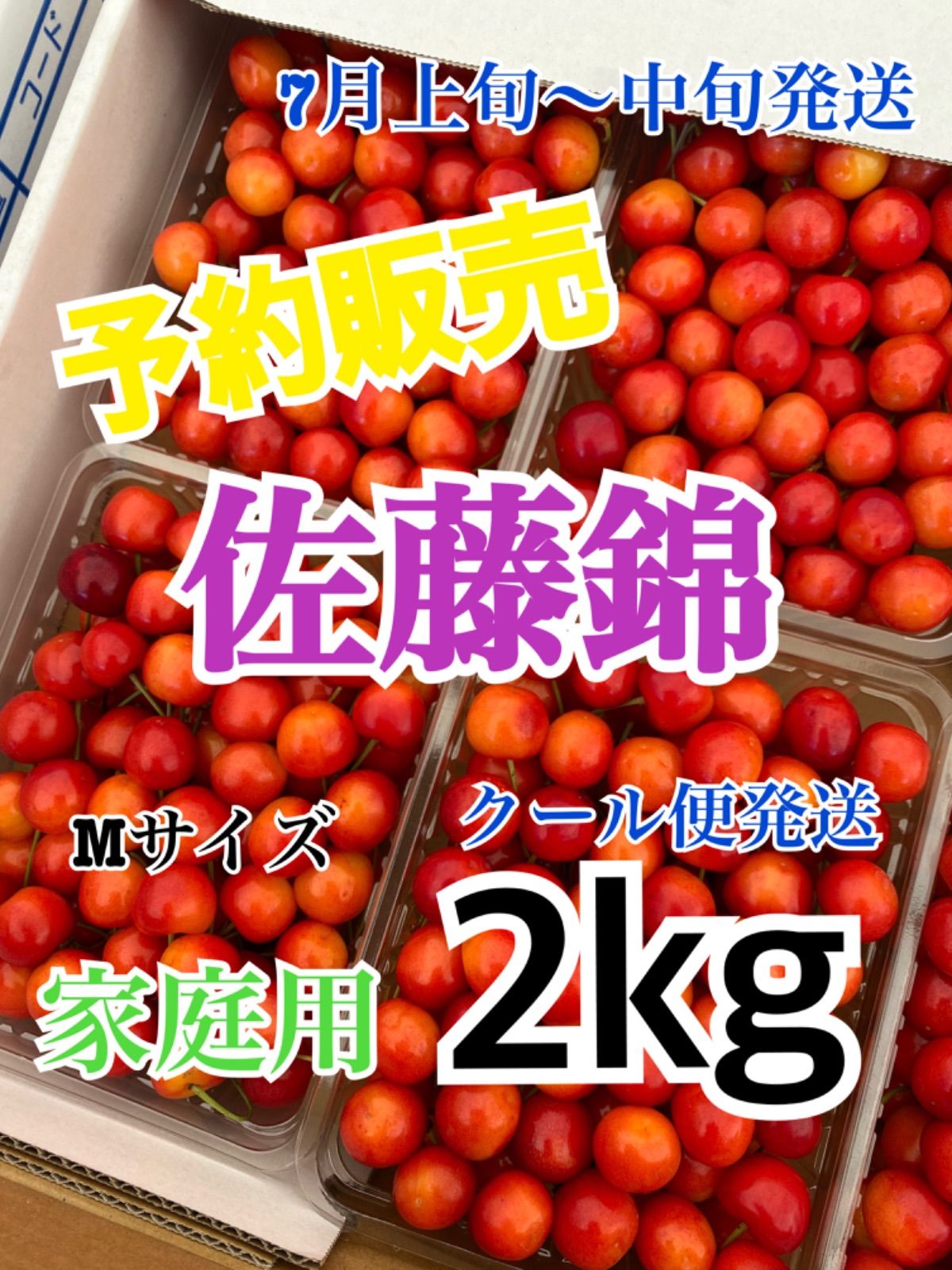 6 予約販売 北海道産 さくらんぼ 佐藤錦 家庭用 Mサイズ 2kg