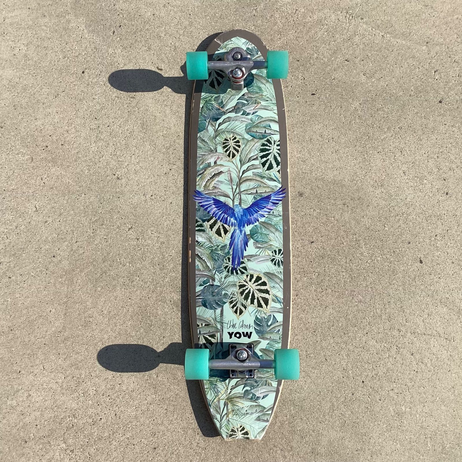 YOW ヤウ ロング スケートボード コンプリート 41inch CALMON 41