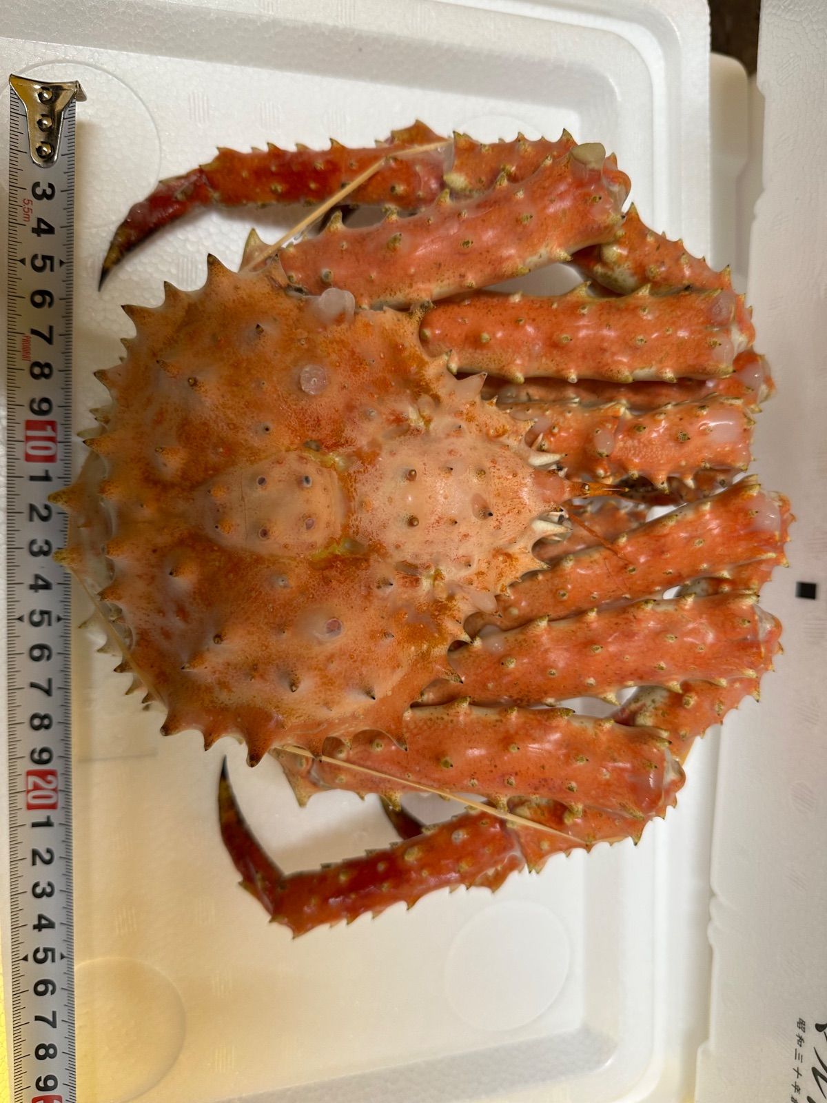 北海道産 ボイルタラバ蟹姿