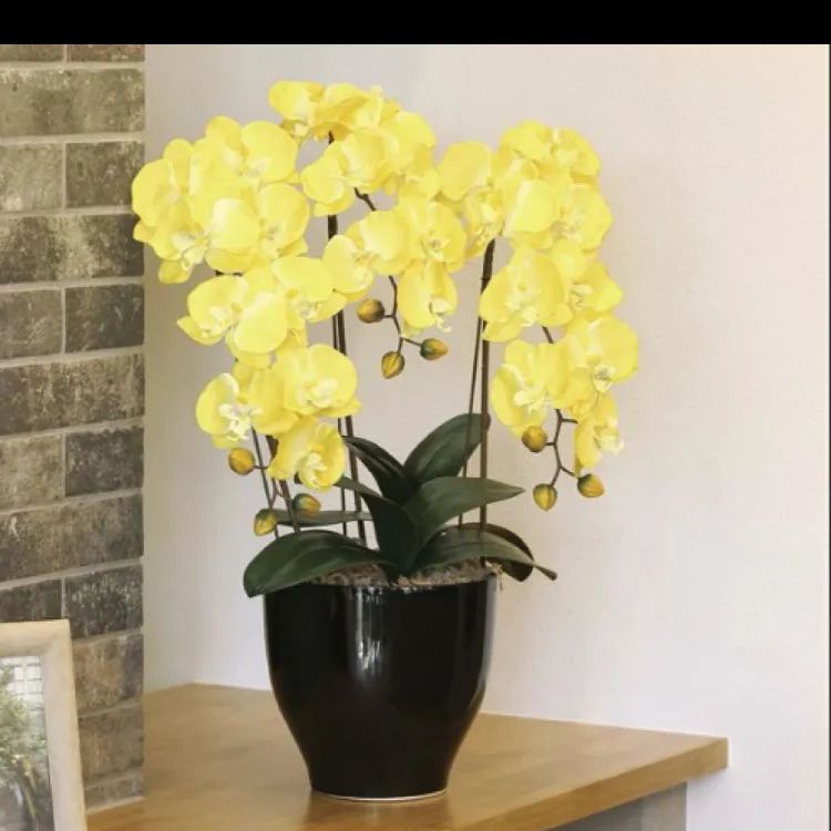 光触媒 人工観葉植物 ウォールグリーン フェイクグリーン 胡蝶蘭