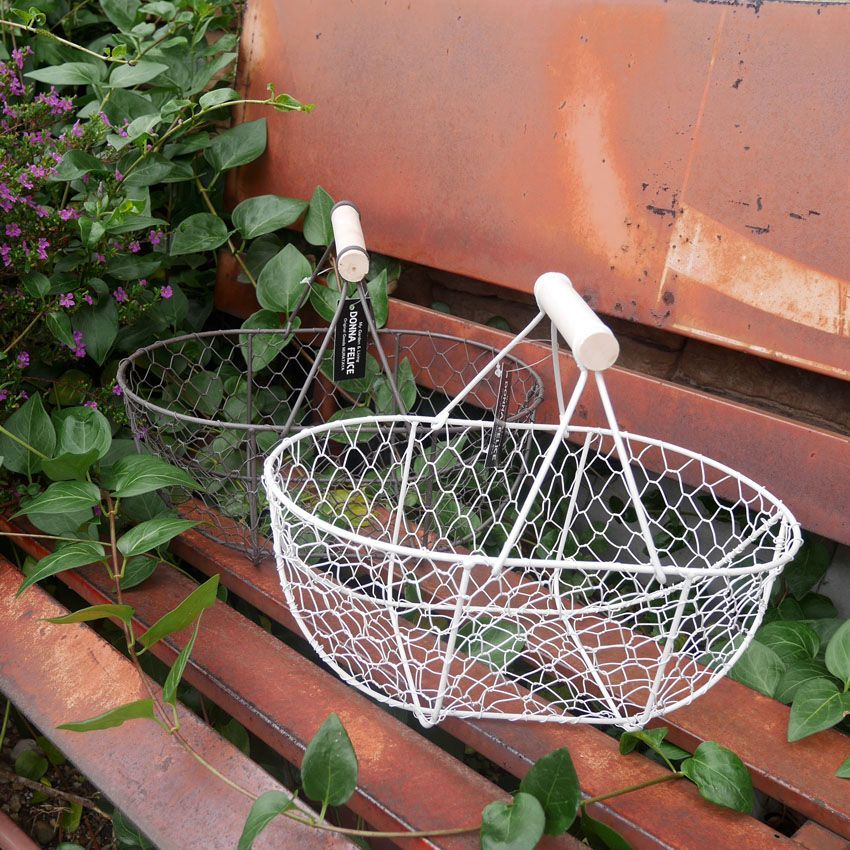 ワイヤーバスケット Lサイズ ガーデン ガーデニング 園芸 植物