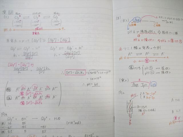 駿台 入試化学総点検 2022 夏期 017m0D 駿台 入試化学総点検 2022 夏期 017m0D : ブックスドリーム 学参