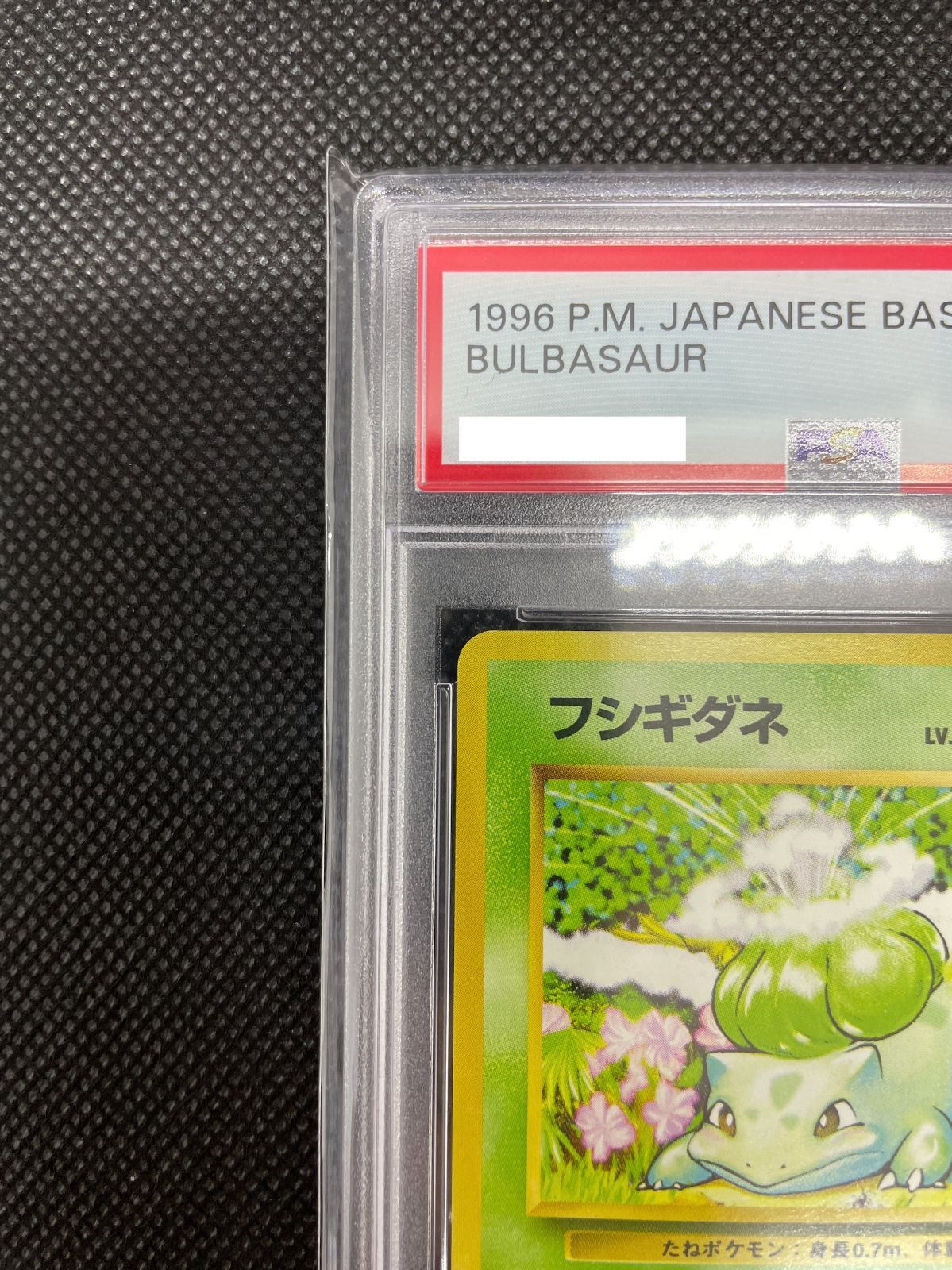 人気アイテム 旧裏面 フシギダネ PSA10 ポケモン カード その他