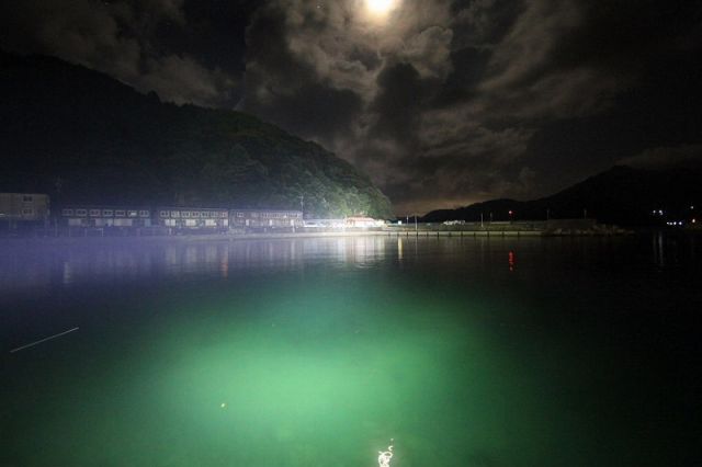 船舶向け 80W LED サーチライト DC12V 24V兼用 船 ライト 漁師 9500ルーメン サーチライト 船舶用 業務用 DC12V DC24V IP65