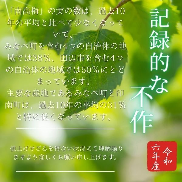 訳あり送料無料　かつお梅　800g　完熟紀州南高梅　ポスト　梅干し　つぶれ梅　見切り　安心安全の産地直送　和歌山県産　ポスト投函　インフルエンザ　風邪 和歌山　寺本商店　うめぼし　か８