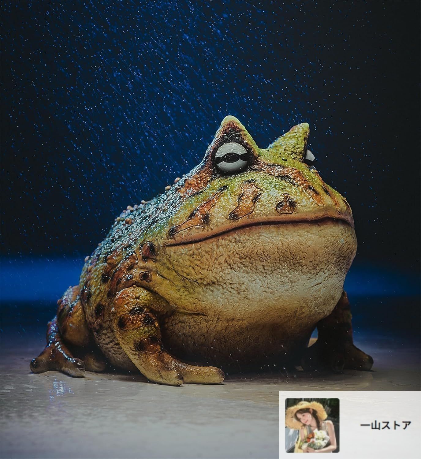インテリア 部屋 庭 置物 オーナメント カエル ブラジル