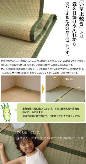 い草上敷 双目織