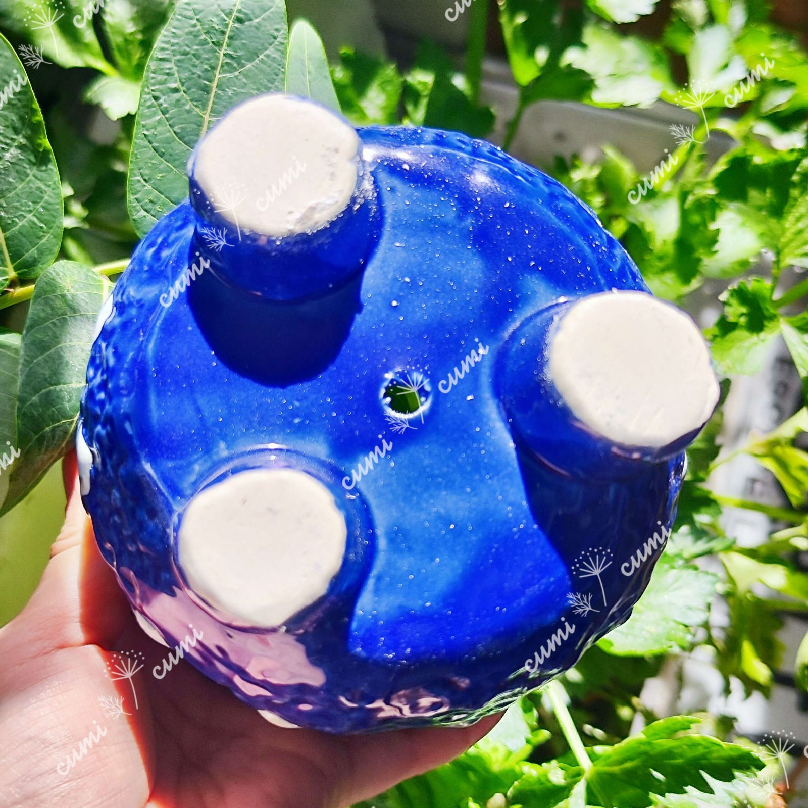 専用出品！The blue 韓国植木鉢 セール！ 韓国 映え 花型 青色 blue 植木鉢 おしゃれ 室内 陶器鉢 多肉