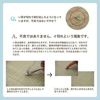 ラグ い草ラグ 江戸間8畳 約348×352cm 花ござ カーペット 格子柄 ナチュラル シンプル 滑りにくい 抗菌防臭 消臭 NDXルネ MARWIL-DEMENAGEMENTS_CH