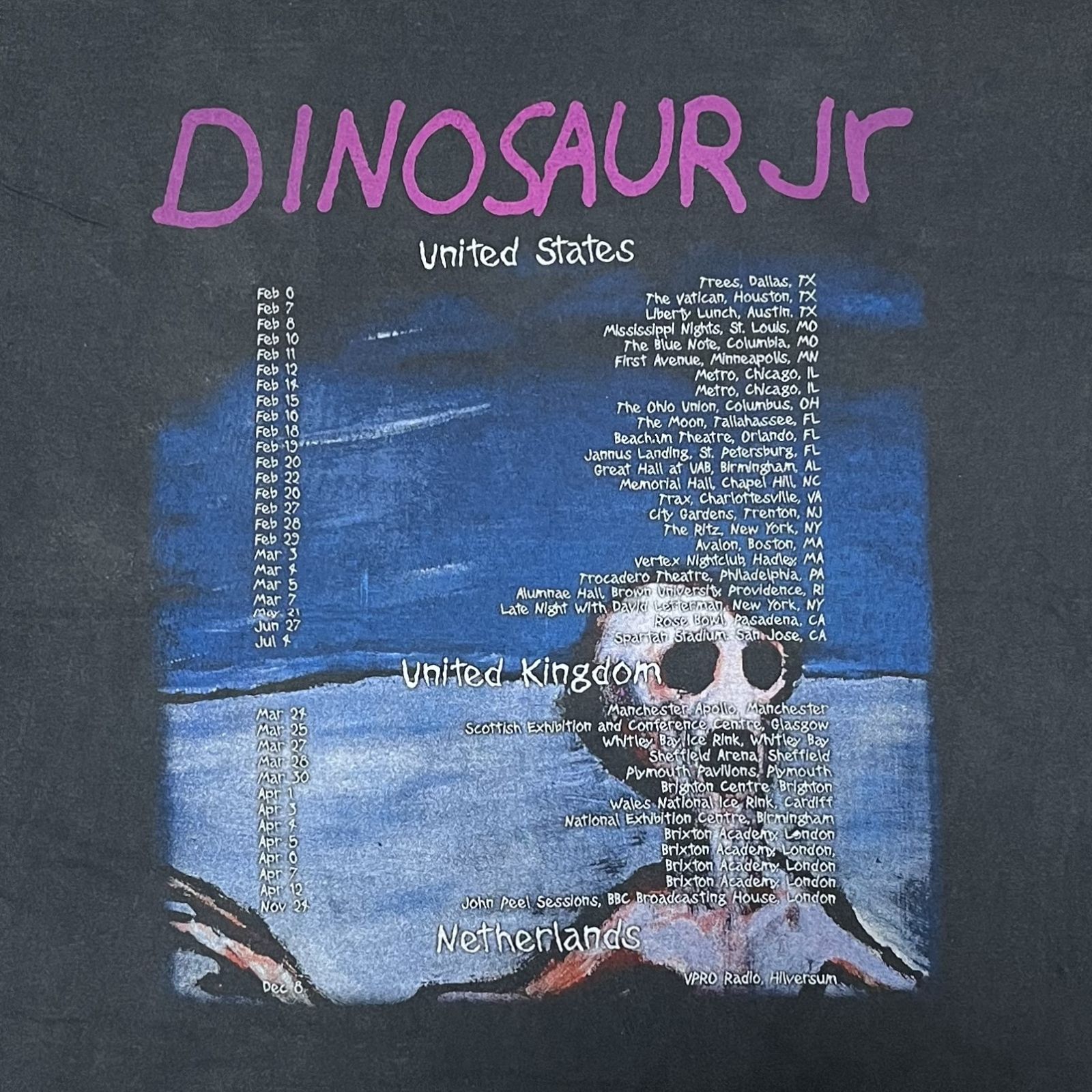 Dinosaur Jr. / ダイナソーJr. Tシャツ Where You Been - メルカリ