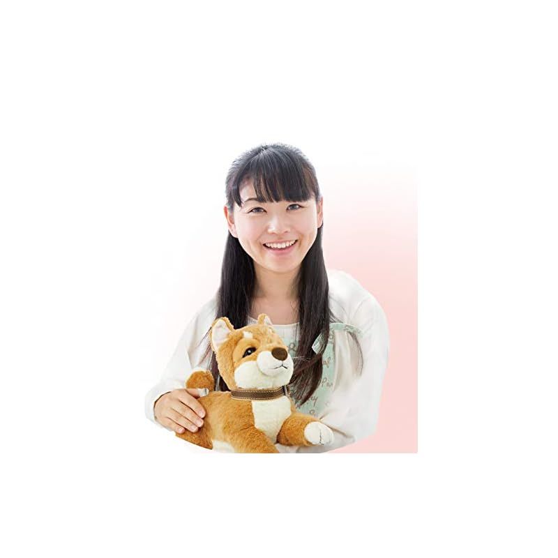 IWAYA おはようで始めるなごみケーションわんこ柴犬