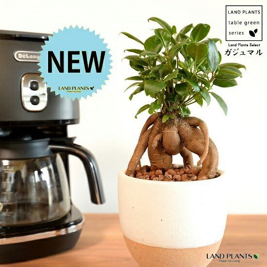 PF炎炎の消防隊 オートコントローラーPlus オートプレイ レバブル停止