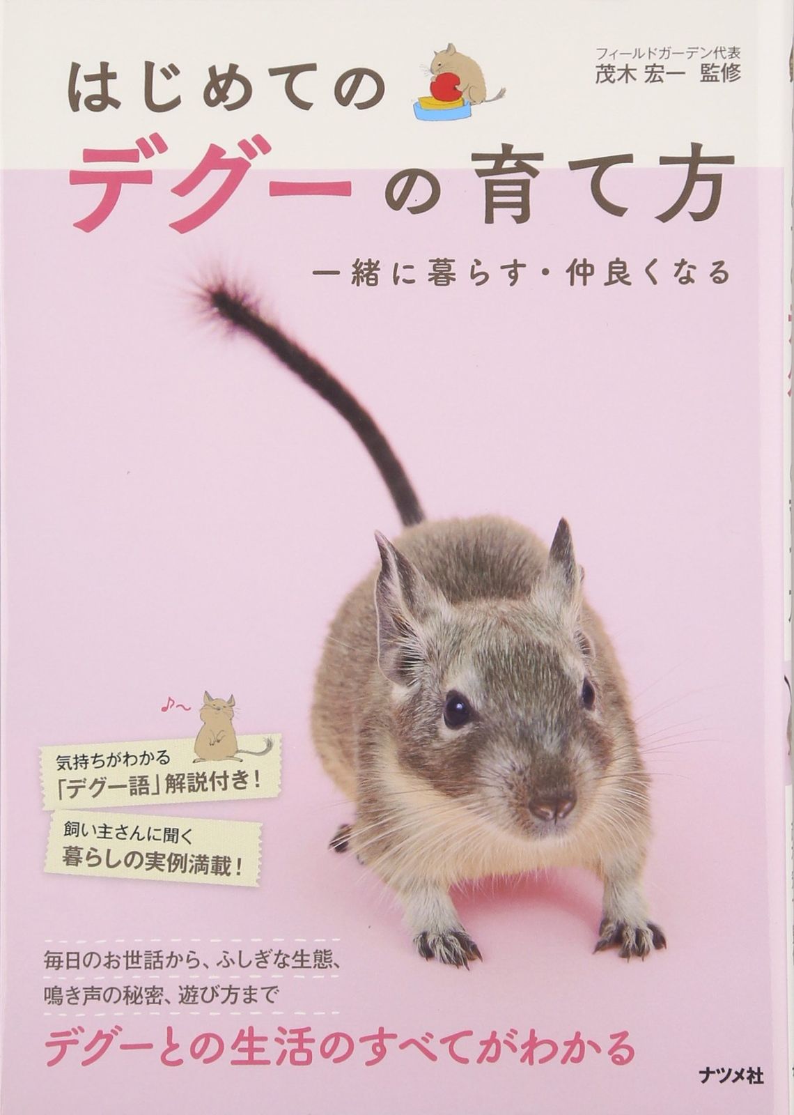 はじめてのデグーの育て方