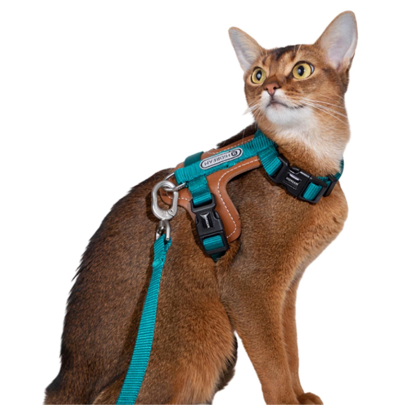 ペット用ハーネス＆リードセット 反射光ストリップ付きスエード ブルー M