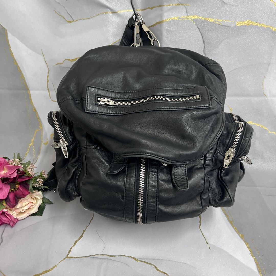 alexander wang アレキサンダーワン 2WAYバッグ リュック リュック  