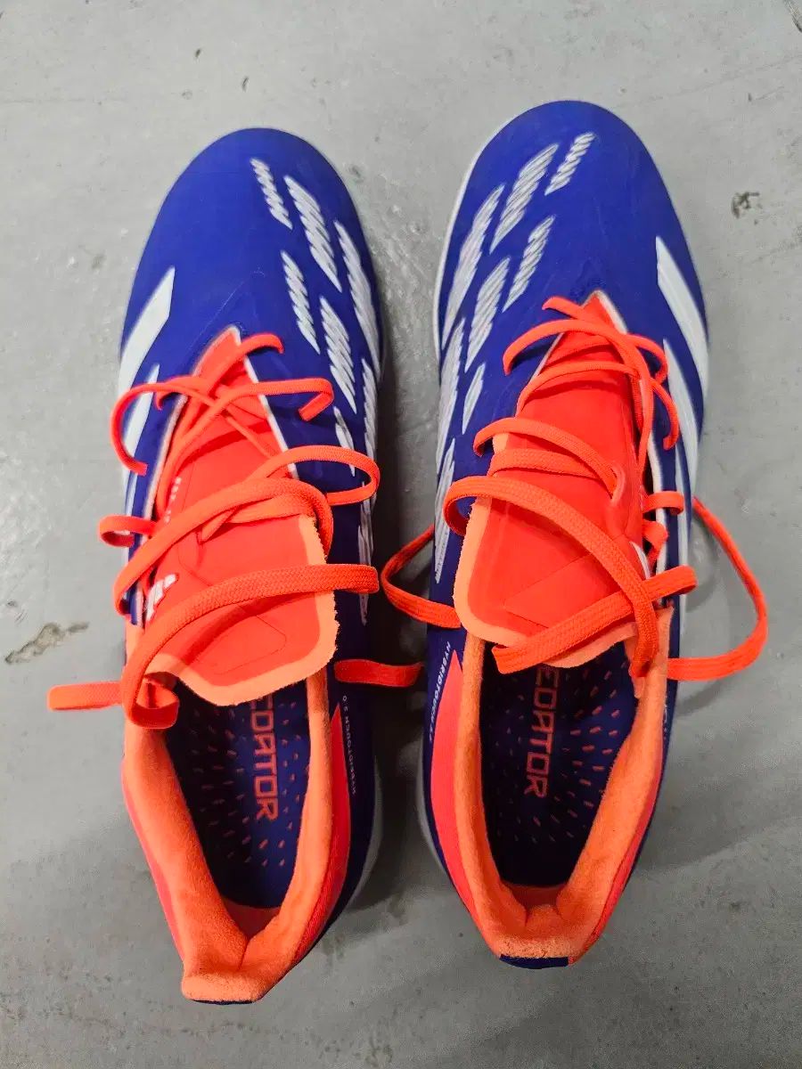 プレデター エリート TF 25.5 PREDATOR ELITE TF adidas プレデター